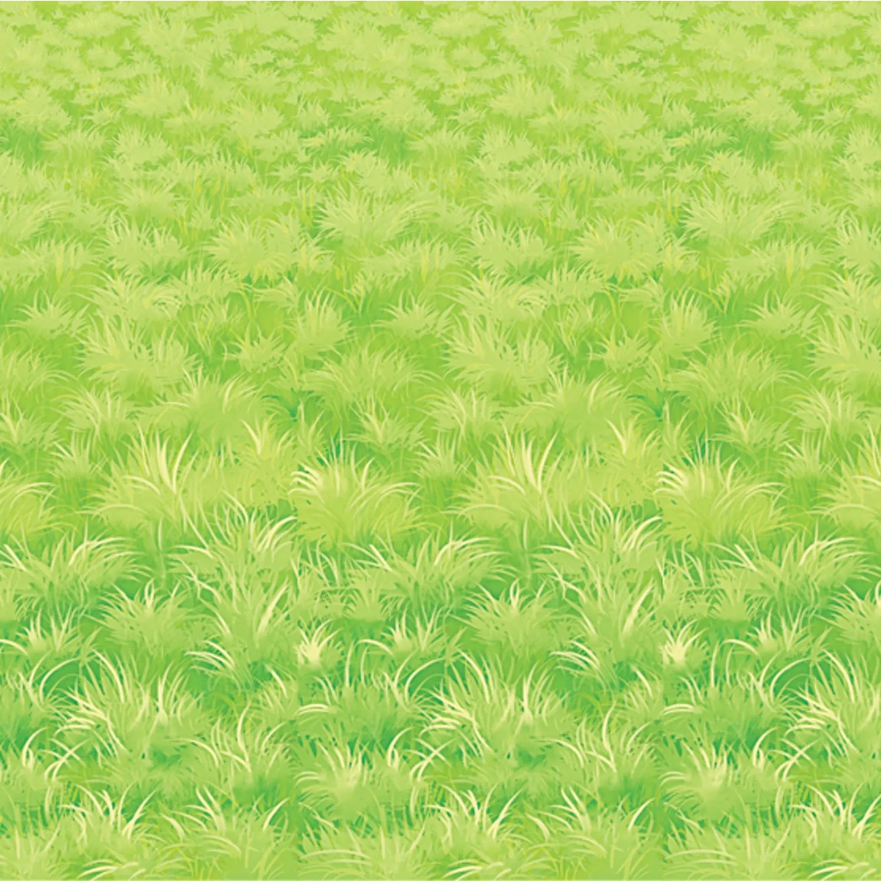 Themed Backdrops-AMAZON FACTORY