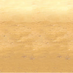 Themed Backdrops-AMAZON FACTORY