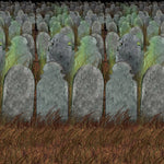 Themed Backdrops-AMAZON FACTORY