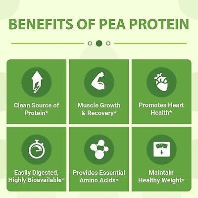 Vegan Pea Protein Isolate (Chocolate) - AMAZON FACTORY