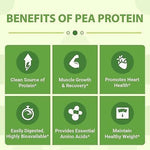 Vegan Pea Protein Isolate (Chocolate)-AMAZON FACTORY
