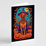 Witchy Halloween Greeting Cards - Size: 5X7 | Pack Of: 8 | Collection name: Witchy halloween-AMAZON FACTORY